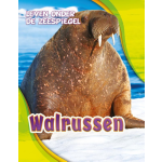 Walrussen