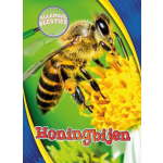 Corona Honingbijen