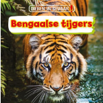 Corona Bengaalse tijgers