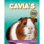 Corona Cavia&apos;s