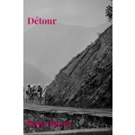 Brave New Books Détour