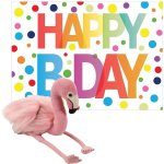 Wild Republic Pluche Dieren Knuffel Flamingo 20 Cm Met Happy Birthday Wenskaart - Vogel Knuffels