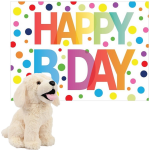 Pluche Dieren Knuffel Labrador Hond 20 Cm Met Happy Birthday Wenskaart - Knuffel Huisdieren