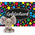 Keel Toys Pluche Olifant Knuffel 14 Cm Met Gefeliciteerd A5 Wenskaart - Knuffeldier - Grijs