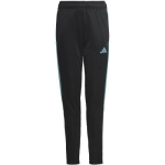 Adidas Trainingsbroek - Zwart