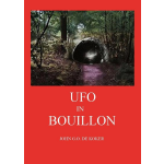 UFO in Bouillon
