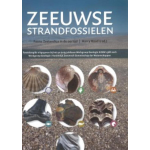 Zeeuwse strandfossielen