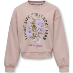 Only Sweater - Roze