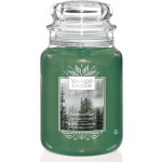Yankee Candle - Evergreen Mist Geurkaars - Large Jar - Tot 150 Branduren - Groen
