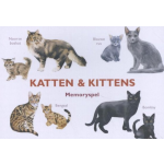 Katten & Kittens