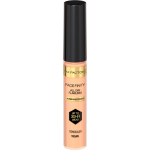 Face Finity Al Day Concealer 30