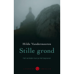 Stille grond