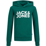 JACK & JONES Sweater - Groen