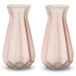 2x Stuks Bloemenvazen/transparant Glas - H18 X D11.5 Cm - Vazen - Roze