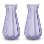 2x Stuks Bloemenvazen - Lila/transparant Glas - H18 X D11.5 Cm - Vazen - Paars