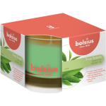Bolsius Geurglas 63/90 True Scents Green Tea - Groen