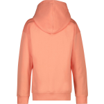 Cars Jeans Sweater - Oranje