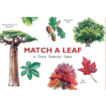 Match a Leaf A Tree Memory Game:A Tree Memory Game