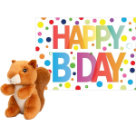 Keel Toys Pluche Dieren Knuffel Eekhoorn 12 Cm Met Happy Birthday Wenskaart - Knuffeldier