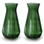 2x Stuks Bloemenvazen/transparant Glas - H24 X D13.5 Cm - Vazen - Groen