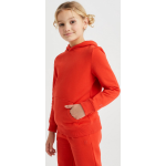 WE Fashion Sweater - Rood