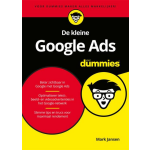 De kleine Google Ads voor Dummies