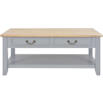 Vidaxl Salontafel 100x50x41,5 Cm Massief Paulowniahout - Grijs