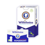 Fortuin - Wilhelmina Peppermunt Vegan - 24x 100g