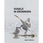 Vogels in Groningen