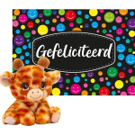 Keel Toys - Cadeaukaart Gefeliciteerd Met Knuffeldier Giraffe 16 Cm - Knuffeldier
