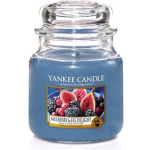 Yankee Candle Geurkaars Medium Mulberry & Fig Delight - 13 Cm / ø 11 Cm - Blauw