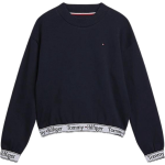 Tommy Hilfiger Sweater - Blauw