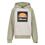 Ellesse Sweater - Groen