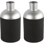 Countryfield Bloemen/deco vaas - 2x/zilver - glas - luxe fles vorm - D14 x H26 cm - Vazen - Zwart