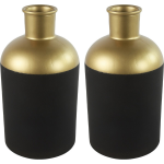 Countryfield Bloemen/deco vaas - 2x/goud - glas - luxe fles vorm - D17 x H31 cm - Vazen - Zwart