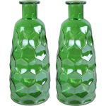 Countryfield Art Deco bloemenvaas - 2x transparant - glas - D12 x H30 cm - Vazen - Groen
