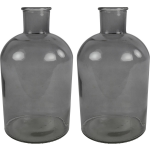 Countryfield 2x Stuks Vaas/transparant - glas - Apotheker fles vorm - D17 x H31 cm - Vazen - Grijs