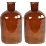 Countryfield 2x stuks Vaas glas - apotheker fles vorm - D14 x H27 cm - Vazen - Bruin