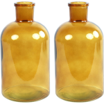 Countryfield 2x Stuks Vaas - goud - glas - apotheker fles vorm - D14 x H27 cm - Vazen - Geel