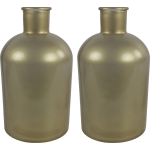 Countryfield 2x Stuks Vaas - mat goud glas - Apotheker fles - D14 x H27 cm - Vazen