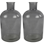 Countryfield 2x Stuks Vaas glas - fles - D14 x H27 cm - Vazen - Grijs