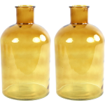 Countryfield 2x Stuks Vaas - goud - glas - apotheker fles vorm - D17 x H30 cm - Vazen - Geel