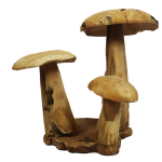 Dijk Natural Collections DKNC - Paddenstoel teak hout - 60x70x65cm - Natuurlijk