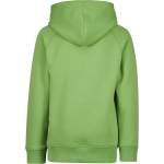 Raizzed Sweater - Groen