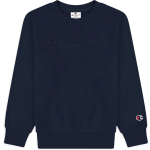 Champion Sweater - Blauw