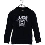 Tommy Hilfiger Sweater - Blauw