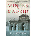 De Fontein Winter in Madrid