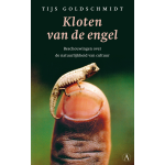 Kloten van de engel