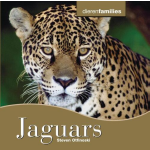 Jaguar&apos;s