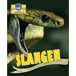 Slangen